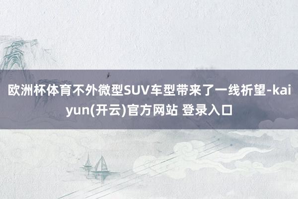 欧洲杯体育不外微型SUV车型带来了一线祈望-kaiyun(开云)官方网站 登录入口