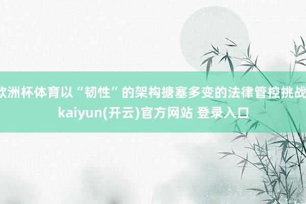 欧洲杯体育以“韧性”的架构搪塞多变的法律管控挑战-kaiyun(开云)官方网站 登录入口
