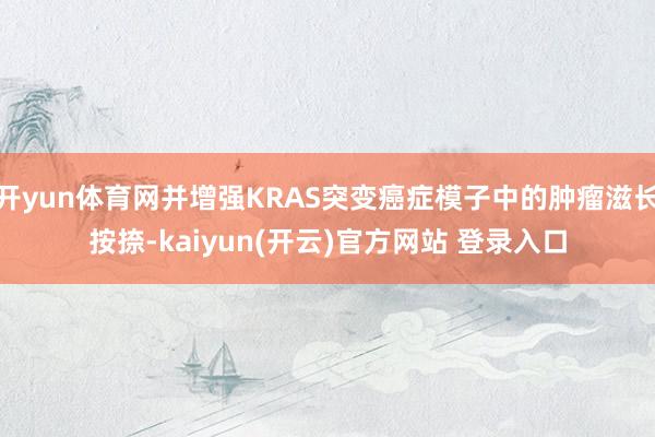 开yun体育网并增强KRAS突变癌症模子中的肿瘤滋长按捺-kaiyun(开云)官方网站 登录入口