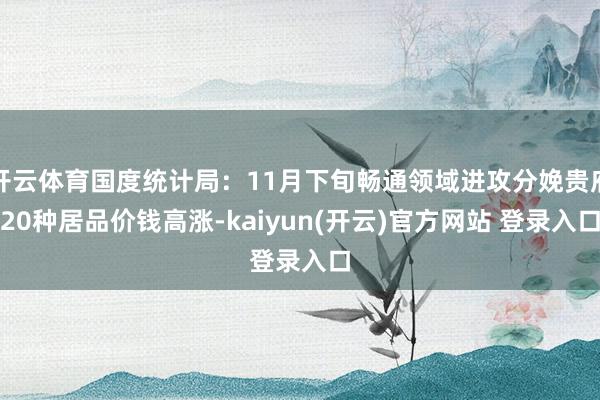 开云体育国度统计局：11月下旬畅通领域进攻分娩贵府20种居品价钱高涨-kaiyun(开云)官方网站 登录入口