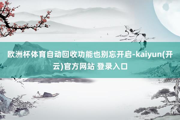 欧洲杯体育自动回收功能也别忘开启-kaiyun(开云)官方网站 登录入口