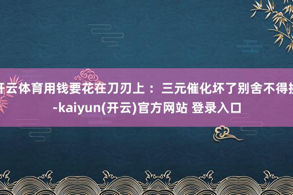 开云体育用钱要花在刀刃上 ：三元催化坏了别舍不得换-kaiyun(开云)官方网站 登录入口