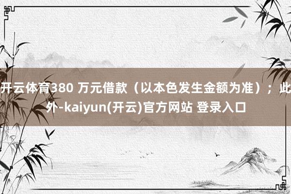 开云体育380 万元借款（以本色发生金额为准）；此外-kaiyun(开云)官方网站 登录入口
