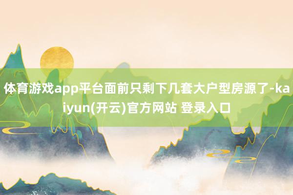 体育游戏app平台面前只剩下几套大户型房源了-kaiyun(开云)官方网站 登录入口