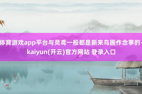 体育游戏app平台与灵鸢一般都是新来鸟圃作念事的-kaiyun(开云)官方网站 登录入口