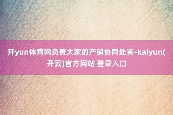 开yun体育网负责大家的产销协同处置-kaiyun(开云)官方网站 登录入口