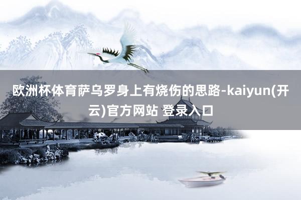 欧洲杯体育萨乌罗身上有烧伤的思路-kaiyun(开云)官方网站 登录入口