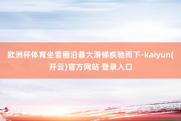 欧洲杯体育坐雪圈沿着大滑梯疾驰而下-kaiyun(开云)官方网站 登录入口