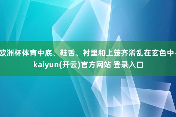 欧洲杯体育中底、鞋舌、衬里和上笼齐淆乱在玄色中-kaiyun(开云)官方网站 登录入口