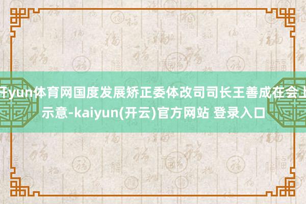 开yun体育网国度发展矫正委体改司司长王善成在会上示意-kaiyun(开云)官方网站 登录入口